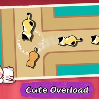 Cat Freeway