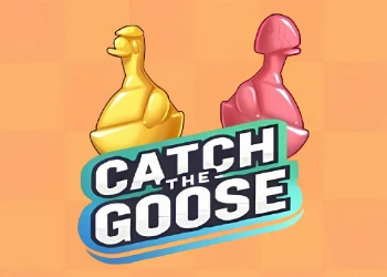 Catch The Goose
