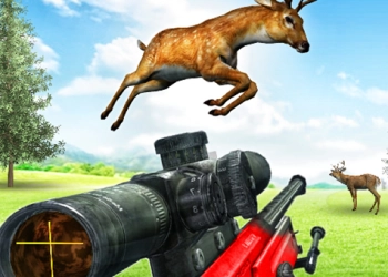 Deer Hunting Sniper Shooting