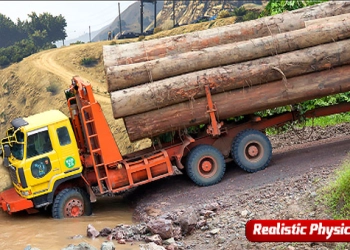 Heavy Cargo Truck Driver