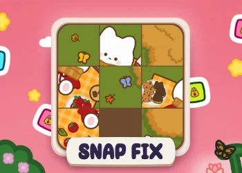 Snap Fix