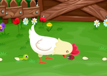 Stupid Chicken